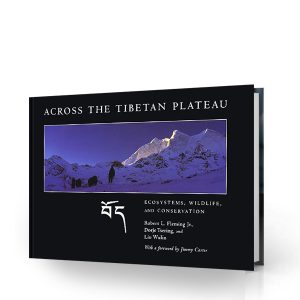 Tibetan Plateau
