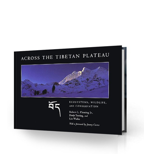 Tibetan Plateau