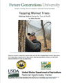 TAPPING-WALNUT-TREES